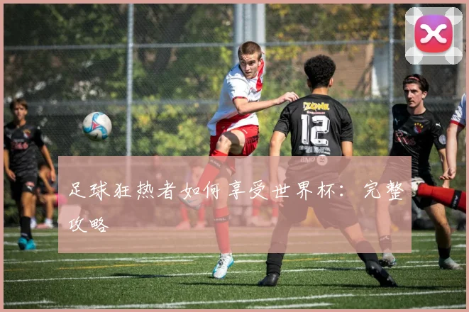 足球狂热者如何享受世界杯：完整攻略
