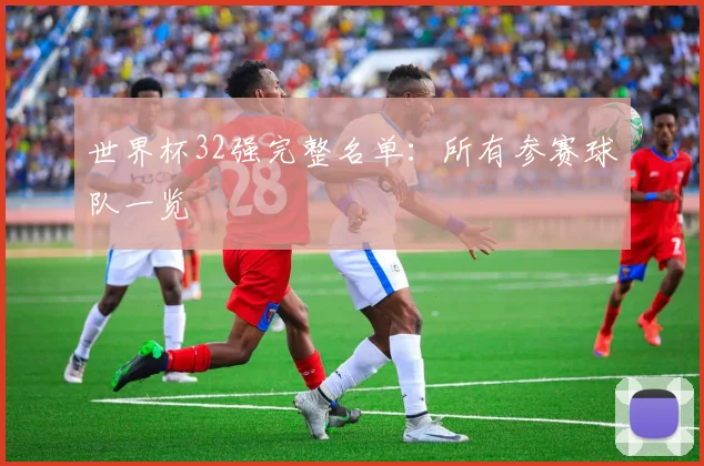 世界杯32强完整名单:所有参赛球队一览