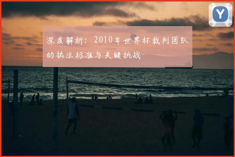 深度解析：2010年世界杯裁判团队的执法标准与关键挑战