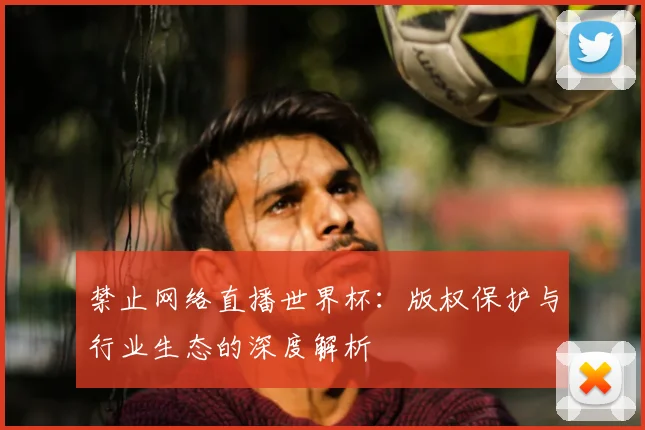 禁止网络直播世界杯：版权保护与行业生态的深度解析
