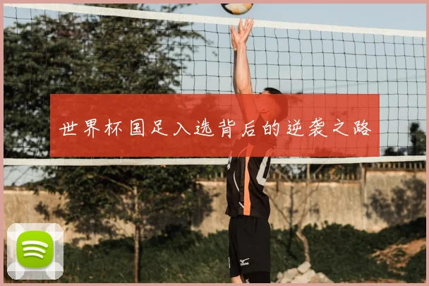世界杯国足入选背后的逆袭之路