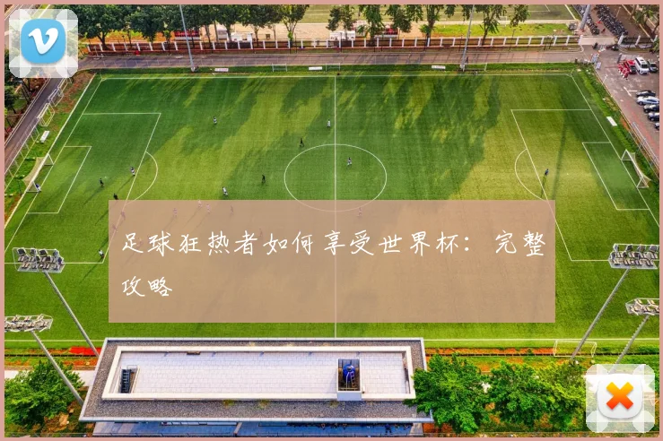 足球狂热者如何享受世界杯：完整攻略
