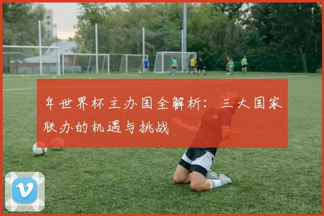 年世界杯主办国全解析：三大国家联办的机遇与挑战