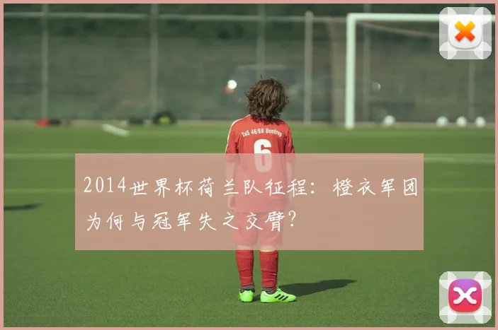 2014世界杯荷兰队征程：橙衣军团为何与冠军失之交臂？