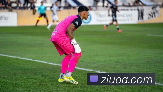 leyu乐鱼官方官网平台生态图