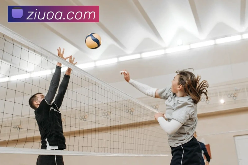 leyu乐鱼官方官网APP 封面图